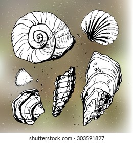Sea shells decorative icons