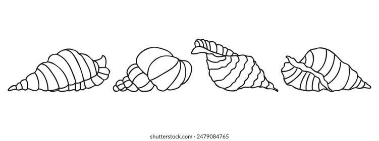 Sea shells different decorative contour drawings, vector illustration isolated on white