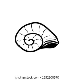 Sea shells doodle vector