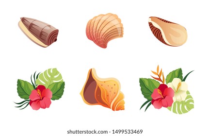 Sea Shells and Exotic Flowers Set, Beautiful Tropical Landscape Design Elements Vector Illustration
