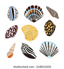 Conchas marinas, fósiles y moluscos. Impresión de vectores costeros hechos a mano en la playa de verano. Fashion brillante ilustración multicolor. Diseño de elementos marítimos
