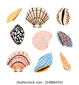 Conchas marinas, fósiles y moluscos. Impresión de vectores costeros hechos a mano en la playa de verano. Fashion brillante ilustración multicolor. Diseño de elementos marítimos