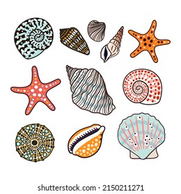 Sea shells, fossils and mollusks object set. Summer beach hand-drawn seaside vector print. Fashion bright multicolored illustration. Seashore elements design