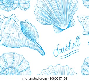 Sea shells Hand drawn blue linear vector illustration.Marine wildlife decorative designer isoalted graphic art element isolated on white background. Perfect for invitations, greeting cards, posters