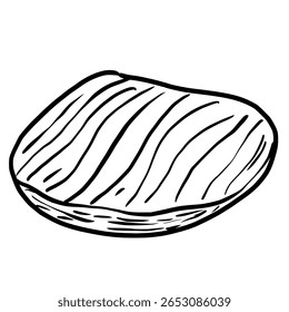 Sea Shells Hand drawn line art sketch doodle fisherman aesthetic coastal nautical illustration 