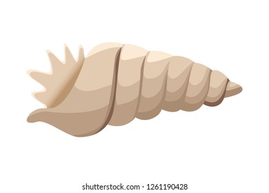 sea shells icon