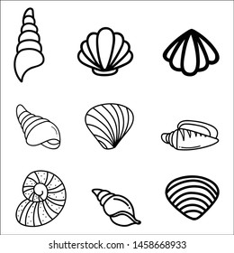 Sea shells icon set isolated on a white background.