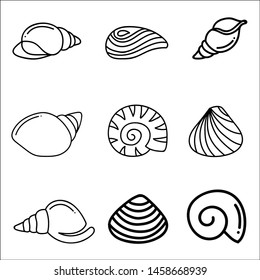 Sea shells icon set isolated on a white background.