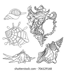 Sea shells icon set isolated on a white background, art logo design
