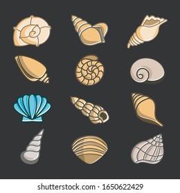 Sea shells icons. Nice color image of a summer symbol. Buttons with marine icons.
