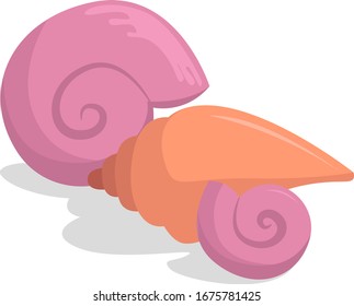 Muscheln, Illustration, Vektorillustration auf weißem Hintergrund.