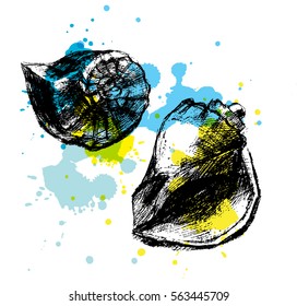 Sea shells. Ink sketch on bright blue and yellow background