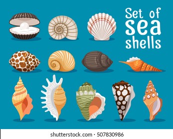 Sea shells isolated on blue background. Seashell set vector illustration for your sea design