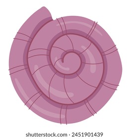sea shells isolated on a white background. Flat design. Vector illustration.