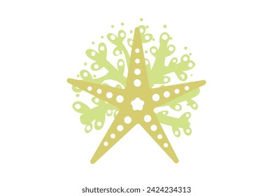 Sea Shells, Sea Life, Coral With Seashell, Ocean Seahorse, Starfish, Under the Sea Plants, Sand Dollar, Corals, Seaweed, Under The Sea, Seashell, Ocean, Marine, Seaweed, Coral bundle, seaweed, coral, 