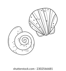 Sea shells line art. Different seashells on pink background color. Vector illustration Sketch style 