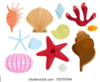 Sea Shells Marine Cartoon Clamshell Ocean Stock Vector (Royalty Free ...