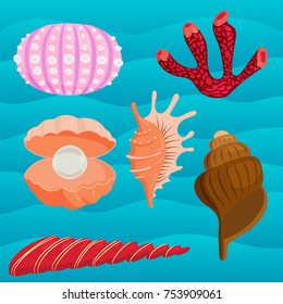 Sea shells marine cartoon clam-shell coralline and ocean starfish vector illustration.. Exotic snail aquarium beauty scallop nature seashell illustration
