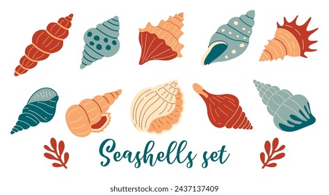 Sea shells, mollusks spiral shells set, aquarium or underwater wildlife. Flat style