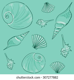 sea shells and mussels in hand-drawn style , pattern or collection