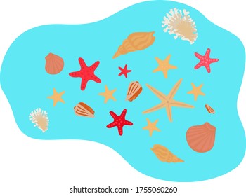 Sea shells on the blue background