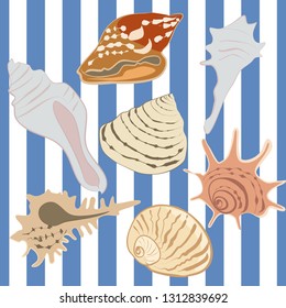 Sea shells on nautical stripes vector pattern