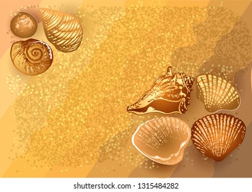 sea shells on the sand. 10 EPS