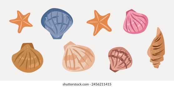 Sea shells on white background, sea collection