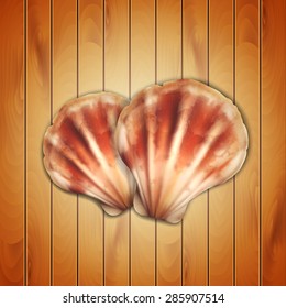 Sea shells on wood texture. EPS10 vector