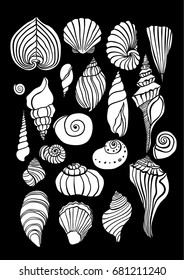 Sea shells outline illustration collection. Isolated hand drawn white shell silhouette set on a black background.