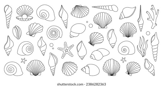 Sea shells outline set. Tropical underwater shells. Freshwater algae, corals, starfish, sea mollusks, scallop, pearls. Vector illustration.