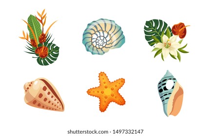 Sea Shells, Palm Leaves and Flowers Set, Tropical Beach Design Elements Vector Illustration