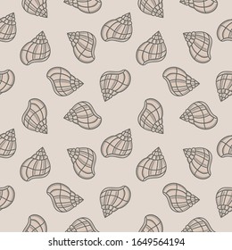 Sea shells pattern. Nice color image of a summer symbol. Modular image to enlarge.