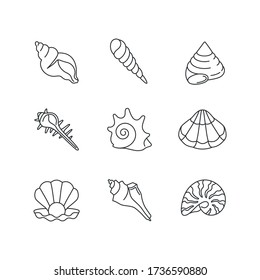 Sea shells pixel perfect linear icons set. Various molluscan shells, conchology customizable thin line contour symbols. Various cockleshell isolated vector outline illustrations. Editable stroke