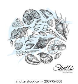 Sea shells and seaweed in circle, monochrome hand drawn sketch style - vector illustration on white background. Marine life animals and underwater elements for aquatic design.