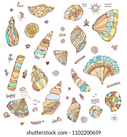 Sea shells set with funny design illustration, vector graphic