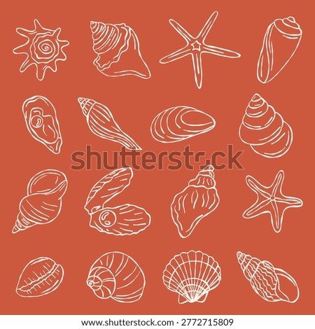 Sea shells set. Hand drawn shells and starfish white line art sketches on terracotta background. Nautical ocean symbols for summer branding and decor.