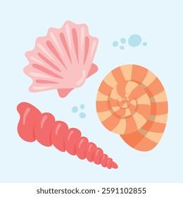 Sea shells set, mollusks, starfish. Flat illustration of seashells collection, stickers. Ocean exotic underwater seashell. Tropical beach shells nature aquatic water vector design