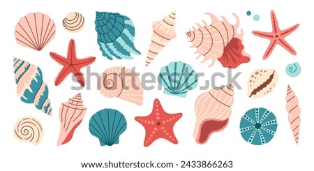 Sea shells set, mollusks, starfish. Trendy flat illustration of seashells collection isolated on white for stickers.