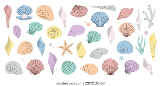 Se colocan conchas marinas. Conchas tropicales submarinas. Algas de agua dulce, corales, pez estrella, moluscos marinos, vieiras, perlas. Ilustración vectorial.