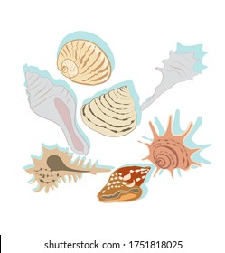 Sea shells set vector illustration 
