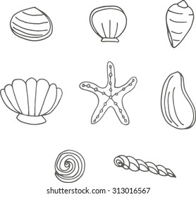 Sea shells and starfish
