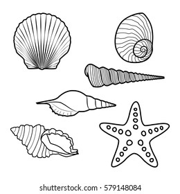 Sea Shells And Starfish. Black Outline Drawing.