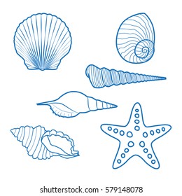 Sea shells and starfish. Blue outline drawing.