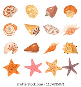 Sea shells and starfish color cartoon icons set