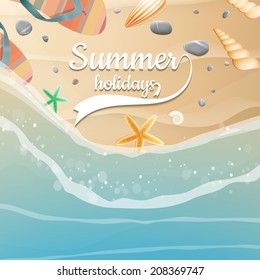 Sea shells, starfish on the beach. Summer holidays. plus EPS10 vector file