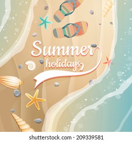 Sea shells, starfish on the beach. Summer holidays. plus EPS10 vector file