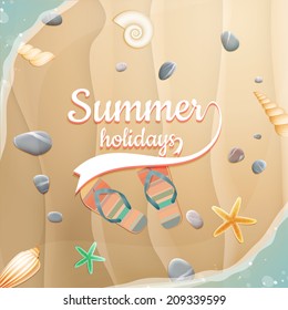 Sea shells, starfish on the beach. Summer holidays. plus EPS10 vector file