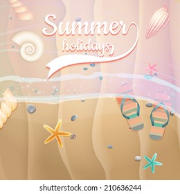 Sea shells, starfish on the beach. Summer holidays. plus EPS10 vector file