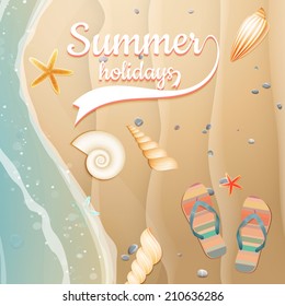 Sea shells, starfish on the beach. Summer holidays. plus EPS10 vector file